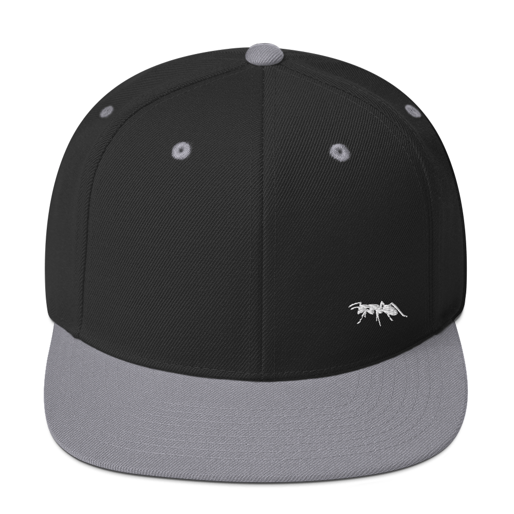 INOPPORCAP SNAPBACK – BLACK & SILVER