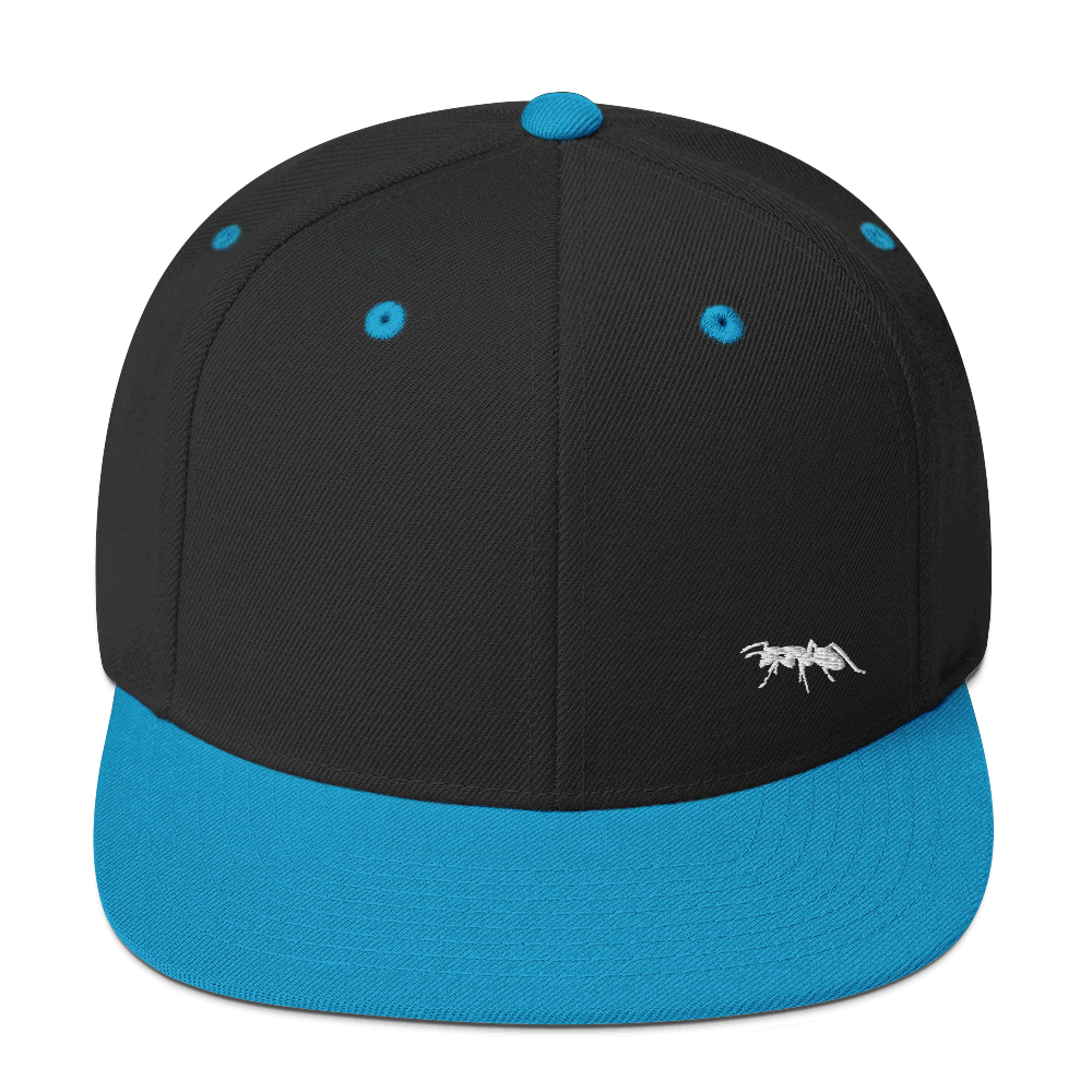 INOPPORCAP SNAPBACK – BLACK & TEAL