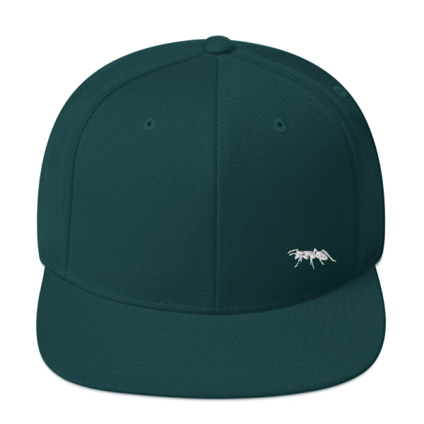 INOPPORCAP SNAPBACK – GREEN